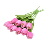 Tekotulppaanit Tulips (10 kpl)