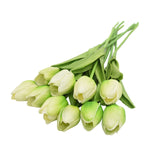 Tekotulppaanit Tulips (10 kpl)